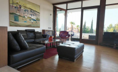 Spacious Egkomi villa with gym and garden 