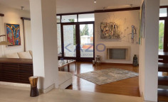 Spacious Egkomi villa with gym and garden 