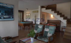 Spacious Egkomi villa with gym and garden 