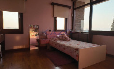 Spacious Egkomi villa with gym and garden 