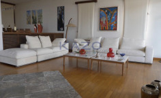 Spacious Egkomi villa with gym and garden 
