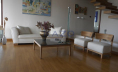 Spacious Egkomi villa with gym and garden 