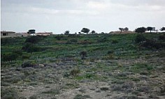 Lovely land to buy in Pissouri, Limassol
