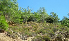 Luxury land for sale in Pera Pedi, Limassol