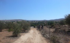 Agricultural land In Neo Chorio