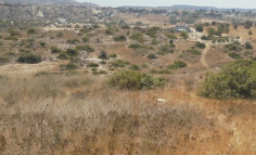 (industrial) in Monagroulli, Limassol for sale 