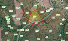 Spacious agricultural for sale in Parekklisia