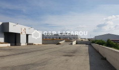 Lovely warehouse for sale in Ypsonas
