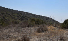 Land (residential) in Parekklisia, Limassol for sale , Limassol