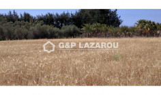 Large residential for sale in Kouklia, Paphos
