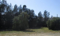 (commercial) in Engomi, Nicosia for sale 