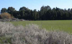 Residential 69168 m2 for sale in Lakatamia, Nicosia