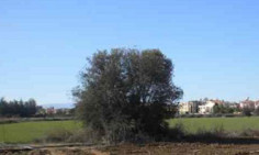 Residential 69168 m2 for sale in Lakatamia, Nicosia