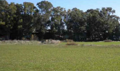 Residential 39169 m2 for sale in Lakatamia, Nicosia