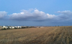 Residential 48267 m2 for sale in Dali, Nicosia