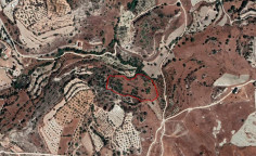 Land 13044 m2 for sale in Armou, Paphos