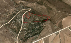 (agricultural) in Pano Arodes, Paphos for sale , Paphos