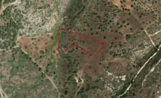 (agricultural) in Neo Chorio, Paphos for sale , Paphos