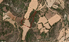 Land for sale in Lysos, Paphos