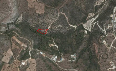 Lovely land for sale in Neo Chorio, Paphos