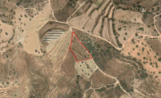 Land 3660 m2 for sale in Tala, Paphos