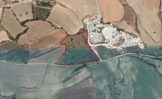 Land 6411 m2 for sale in Poli Crysochous, Paphos