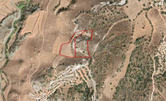 Lovely land for sale in Nata, Paphos