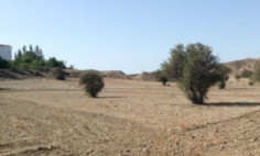 Land (residential) in Latsia, Nicosia for sale , Nicosia