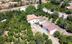 House (detached) in Melini, Larnaca for sale 
