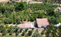 House (detached) in Melini, Larnaca for sale 