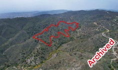 Field in sanida, Limassol 