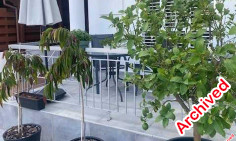 4 bedroom unfurnished house to rent in Archangelos