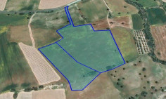 Residential 28438 m2 for sale in Agios Theodoros, Larnaca