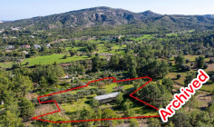 Shared field in Mosfiloti, Larnaca 