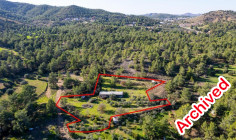 Shared field in Mosfiloti, Larnaca 
