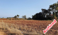 Residential 4143 m2 for sale in Liopetri, Famagusta