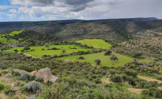 (agricultural) in Agia Fyla, Limassol for sale , Limassol