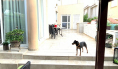 House (detached) in Geri, Nicosia for sale 