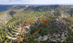 Shared field in Anogyra, Limassol 