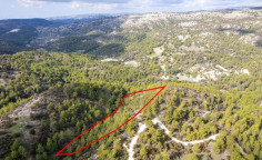 Shared field in Anogyra, Limassol 