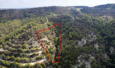 Shared field in Anogyra, Limassol 