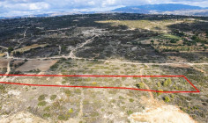 Shared field in Pano Kivides, Limassol 
