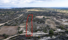 Shared field in Pano Kivides, Limassol 