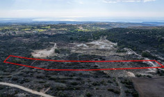Shared field in Pano Kivides, Limassol 