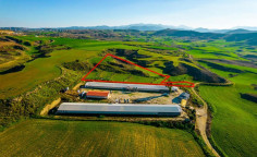 Agricultural field in Agios Ioannis, Nicosia 