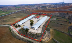 Agricultural for sale in Agios Ioannis