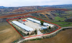 Agricultural for sale in Agios Ioannis