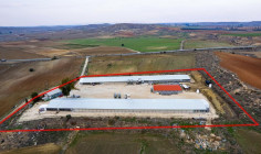 Agricultural for sale in Agios Ioannis