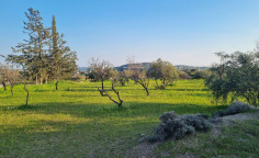 Large residential field for sale in Parekklisia (right of way) , Limassol