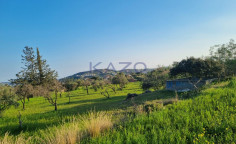 Large residential field for sale in Parekklisia (right of way) , Limassol